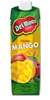 DEL MONTE Mango Nectar